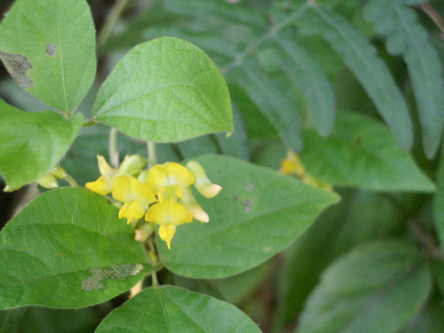 e0025300_13243661.jpg