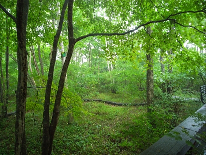 f0065604_1853423.jpg