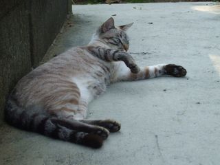 c0103205_20351379.jpg