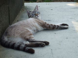 c0103205_20373380.jpg