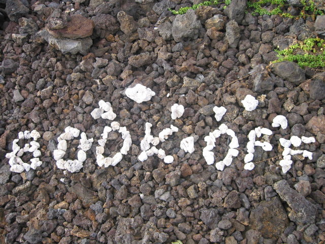 f0141209_1212087.jpg