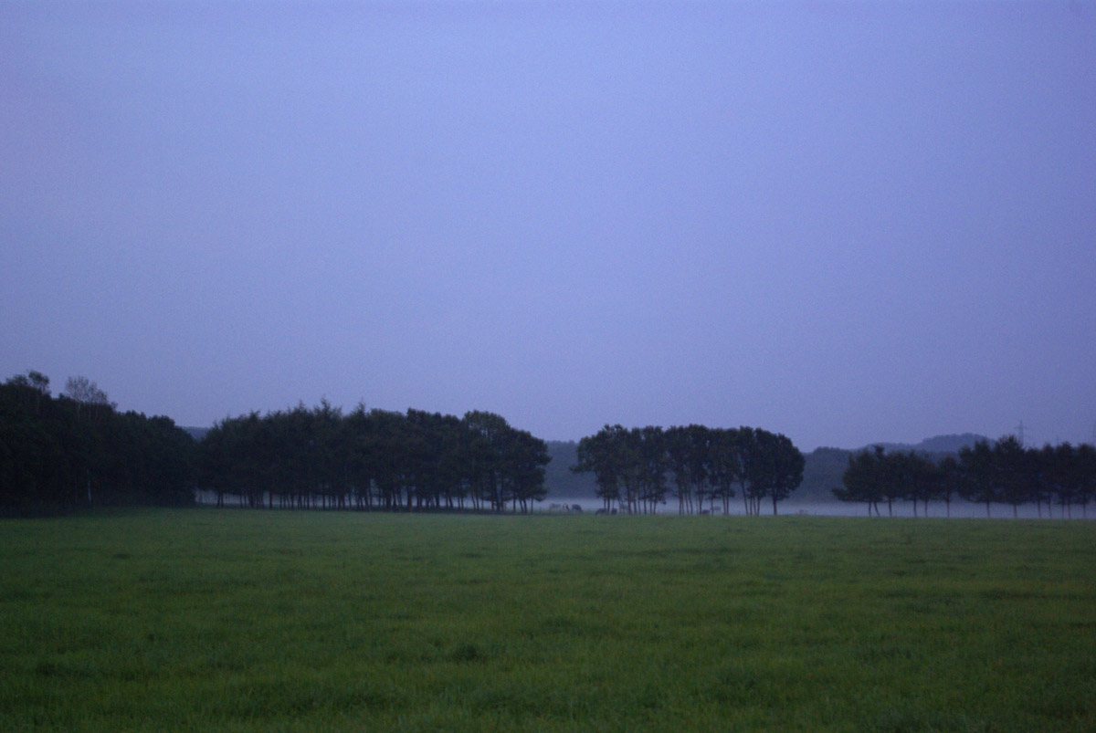 e0142611_22422457.jpg