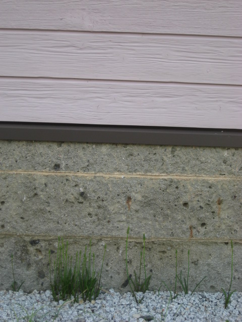 d0147727_19492535.jpg