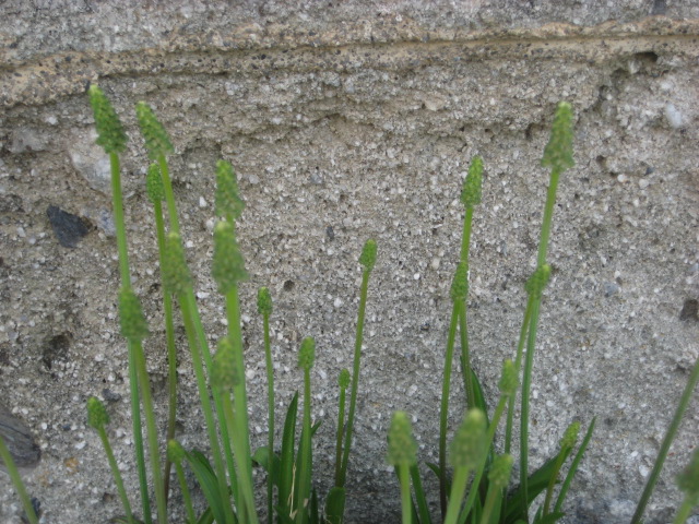 d0147727_19494367.jpg