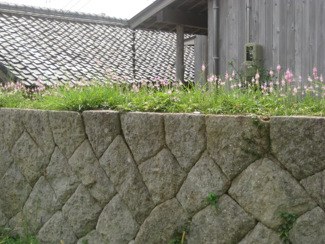 d0147727_1951584.jpg