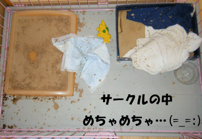 f0008935_1324142.gif