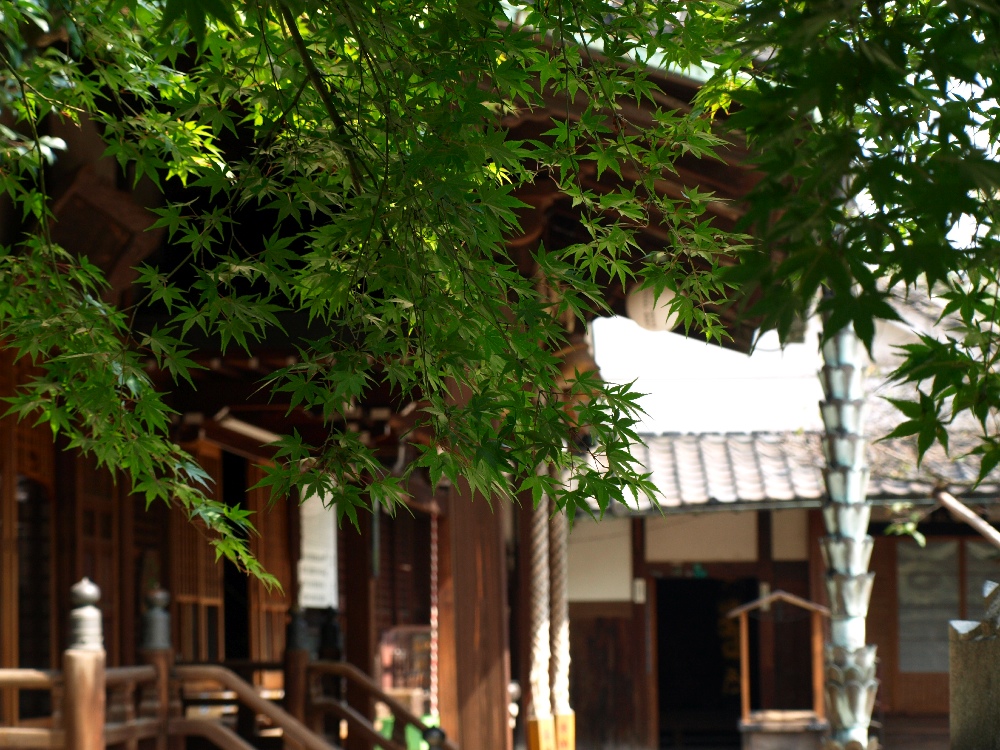 d0149238_2231172.jpg