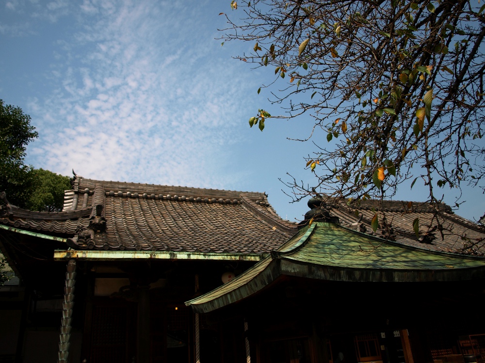d0149238_2243684.jpg