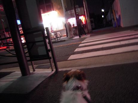c0156345_121020.jpg
