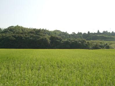 d0025545_832353.jpg