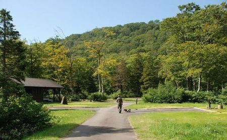 d0116249_1244165.jpg