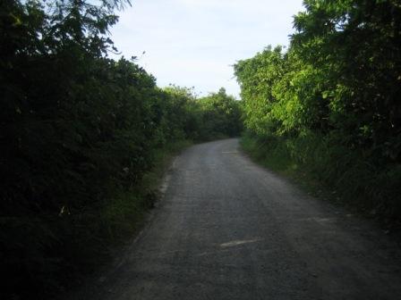 b0070950_1723416.jpg