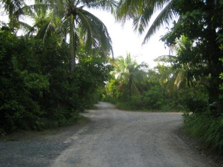 b0070950_1724046.jpg