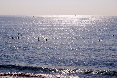 e0050753_23355241.jpg