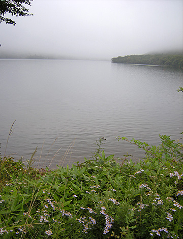 a0001354_2033376.jpg