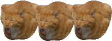 f0155255_23113.gif