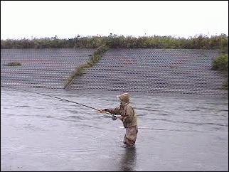 f0084561_11462783.gif