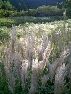 f0061067_21592626.jpg