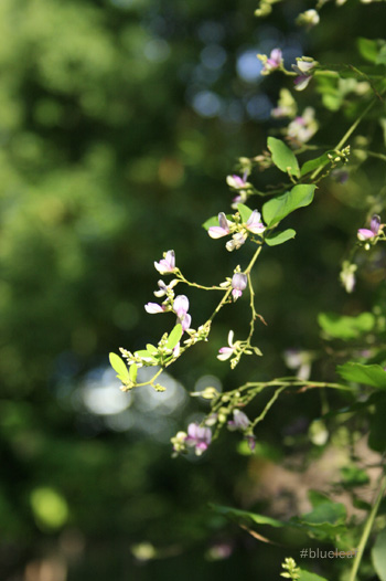 c0027369_17474490.jpg