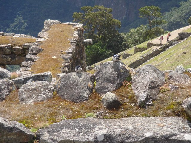 f0160069_8143990.jpg