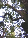 e0025073_1925523.jpg
