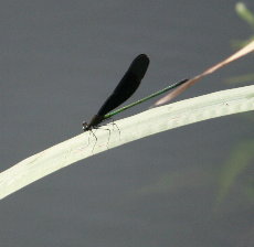 f0181173_10172128.jpg