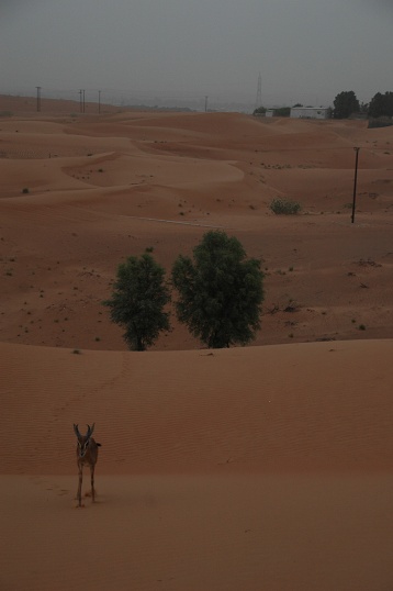 e0066474_2120585.jpg