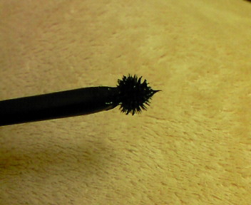 e0062977_103803.jpg