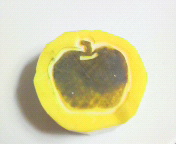 b0129280_2325727.jpg
