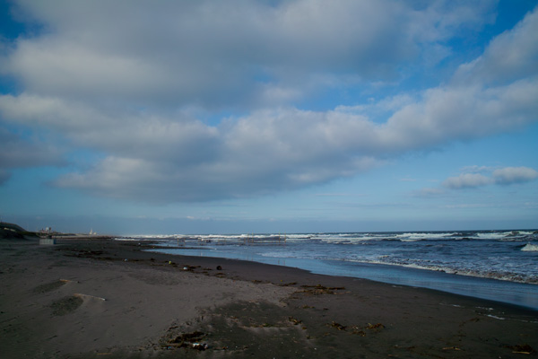 d0089281_1575643.jpg