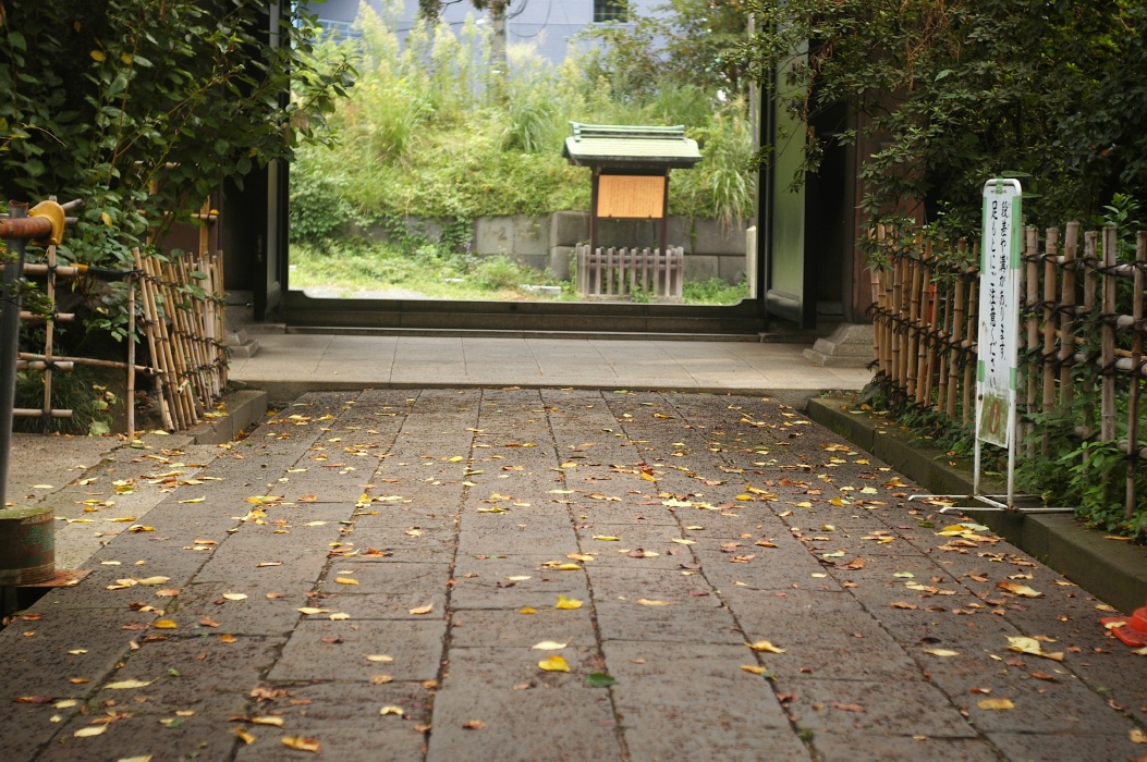 b0160184_23261861.jpg