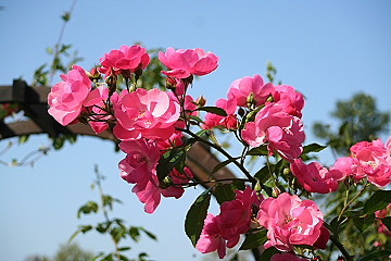 f0051194_14401276.jpg