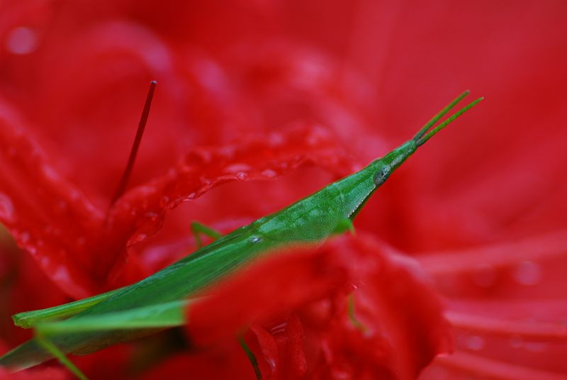 b0021897_22525530.jpg