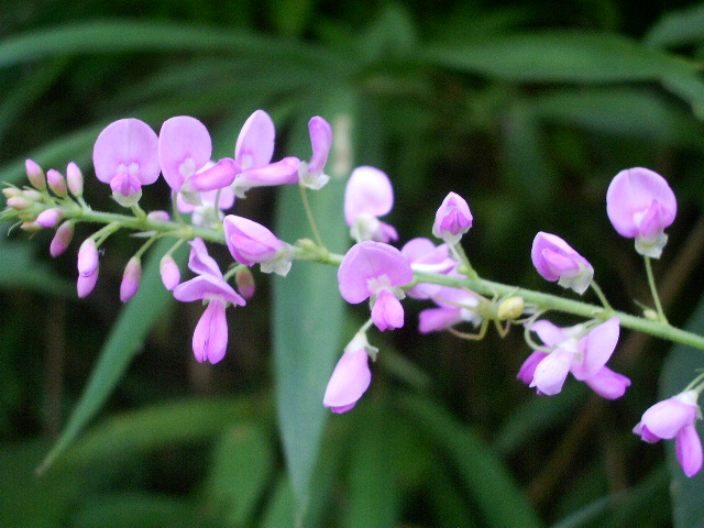 e0025300_202267.jpg