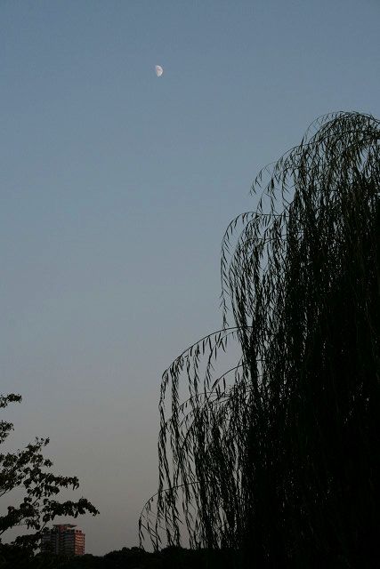 f0083400_022360.jpg