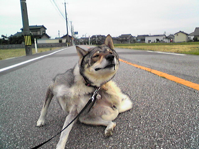 f0079202_174157.jpg