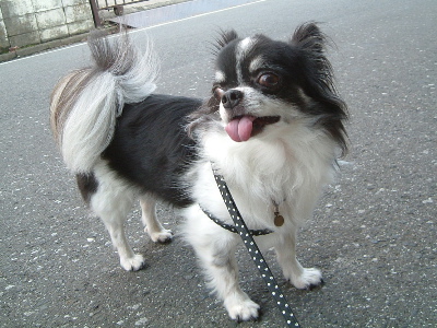 a0079803_22591810.jpg