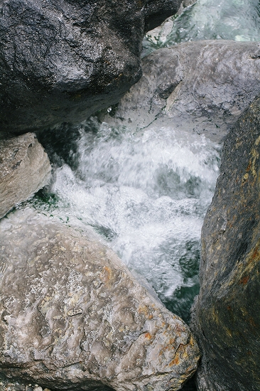 d0112003_2016352.jpg