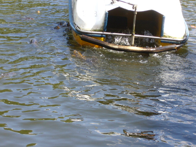 e0015108_21382735.jpg