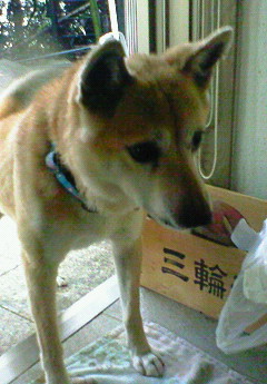 c0147709_1282239.jpg