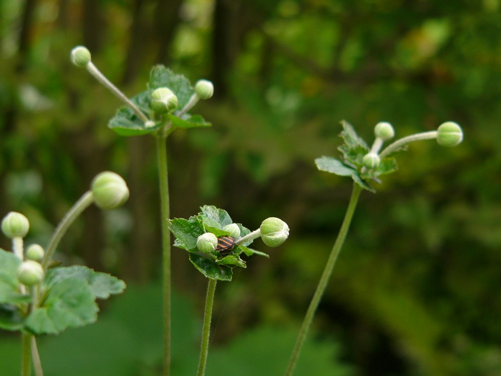 c0062511_715155.jpg