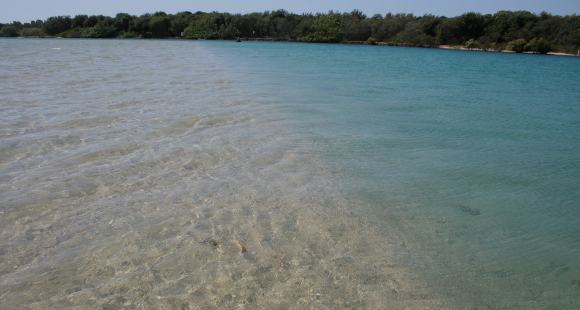 a0095112_2124687.jpg
