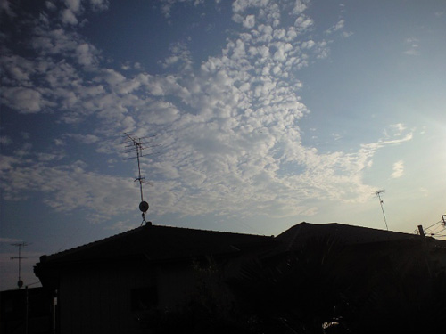 e0023512_20382752.jpg