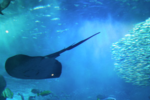 a0031714_22141329.jpg