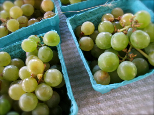 c0120817_5311913.jpg