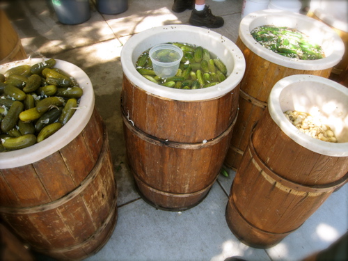 c0120817_5342671.jpg