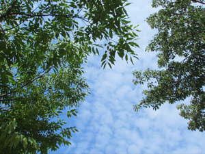 a0047618_2055616.jpg