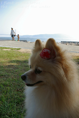 b0075318_2149395.gif