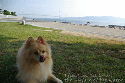 b0075318_21553454.gif