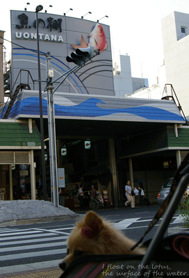 b0075318_21575634.gif
